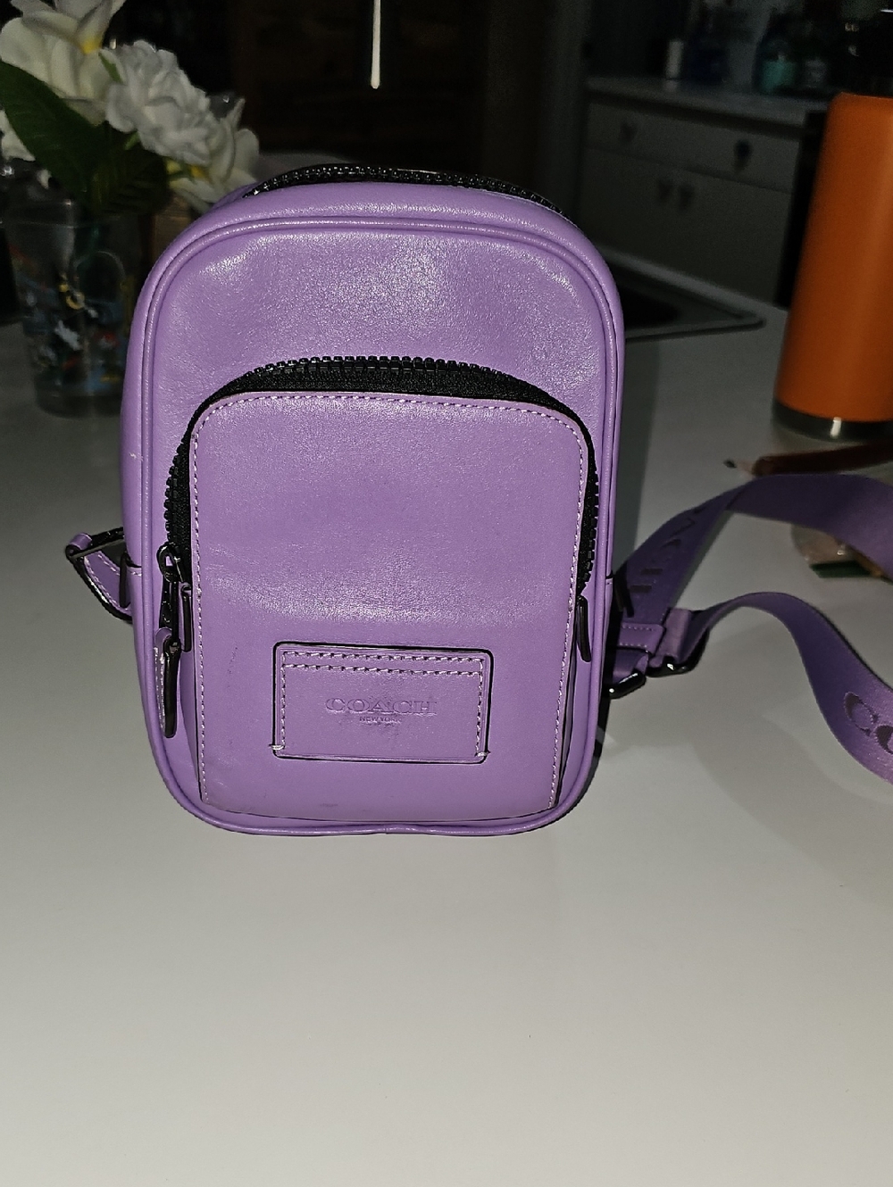 Coach Purple Leather Crossbody Bag